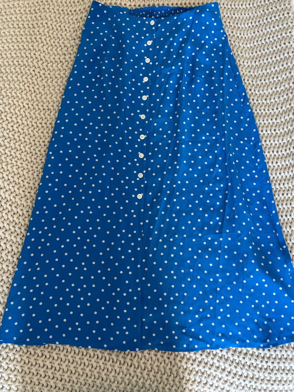 Amour Vert Blue and White Polka Dot Midi Skirt